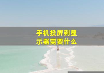 手机投屏到显示器需要什么