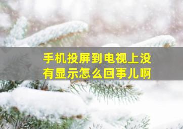 手机投屏到电视上没有显示怎么回事儿啊