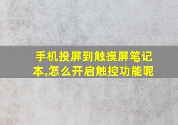 手机投屏到触摸屏笔记本,怎么开启触控功能呢