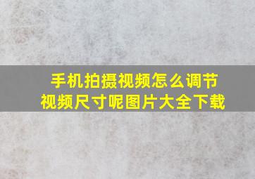 手机拍摄视频怎么调节视频尺寸呢图片大全下载