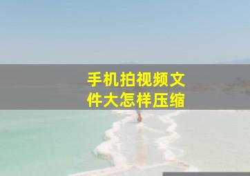 手机拍视频文件大怎样压缩