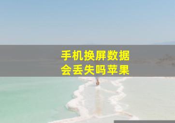 手机换屏数据会丢失吗苹果