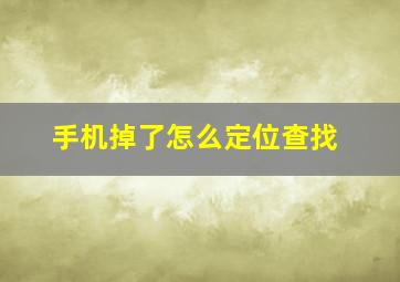 手机掉了怎么定位查找