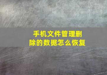 手机文件管理删除的数据怎么恢复