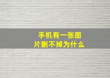 手机有一张图片删不掉为什么