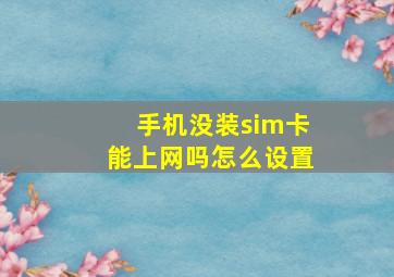 手机没装sim卡能上网吗怎么设置