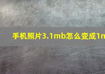 手机照片3.1mb怎么变成1m