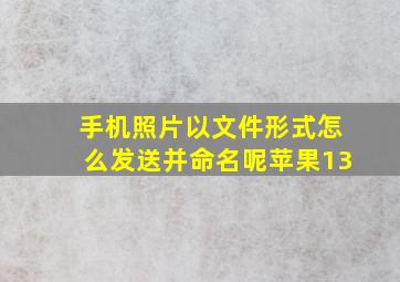 手机照片以文件形式怎么发送并命名呢苹果13