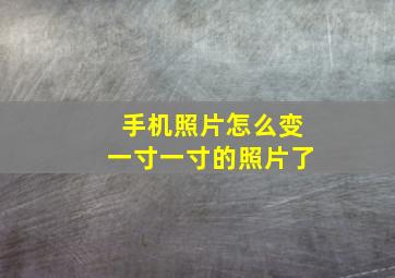 手机照片怎么变一寸一寸的照片了