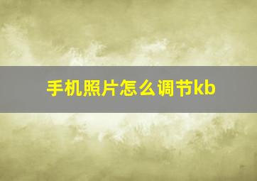 手机照片怎么调节kb