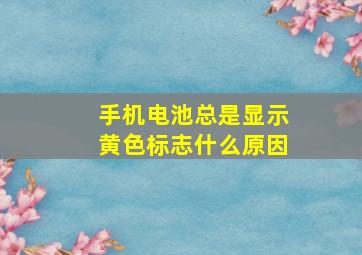 手机电池总是显示黄色标志什么原因