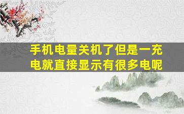 手机电量关机了但是一充电就直接显示有很多电呢