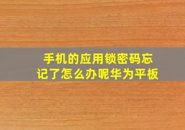 手机的应用锁密码忘记了怎么办呢华为平板