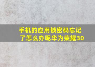 手机的应用锁密码忘记了怎么办呢华为荣耀30