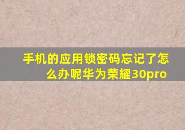 手机的应用锁密码忘记了怎么办呢华为荣耀30pro