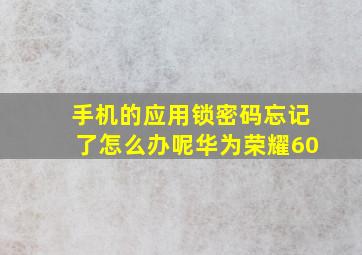 手机的应用锁密码忘记了怎么办呢华为荣耀60