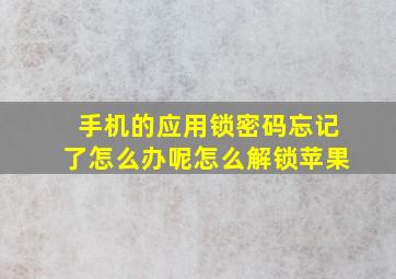 手机的应用锁密码忘记了怎么办呢怎么解锁苹果