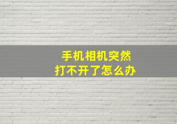 手机相机突然打不开了怎么办