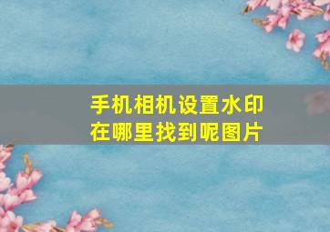 手机相机设置水印在哪里找到呢图片