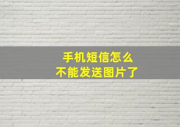 手机短信怎么不能发送图片了