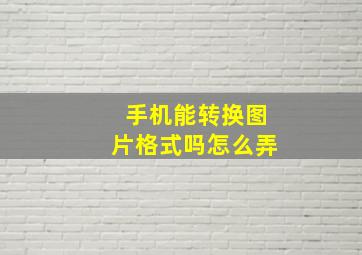 手机能转换图片格式吗怎么弄