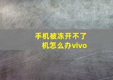 手机被冻开不了机怎么办vivo