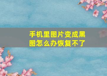 手机里图片变成黑图怎么办恢复不了