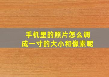 手机里的照片怎么调成一寸的大小和像素呢