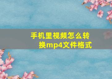 手机里视频怎么转换mp4文件格式