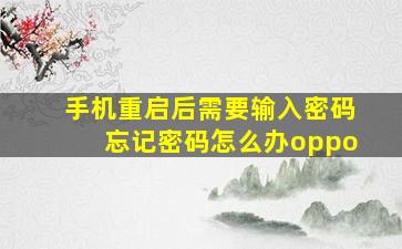 手机重启后需要输入密码忘记密码怎么办oppo