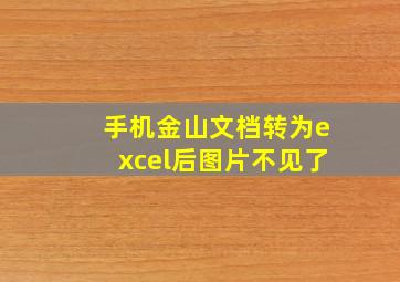 手机金山文档转为excel后图片不见了