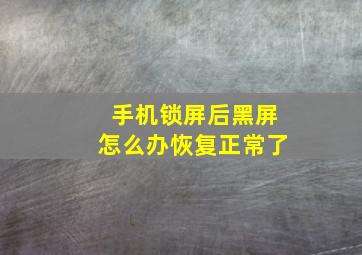 手机锁屏后黑屏怎么办恢复正常了