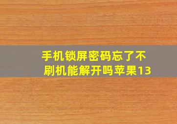 手机锁屏密码忘了不刷机能解开吗苹果13