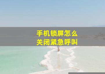 手机锁屏怎么关闭紧急呼叫