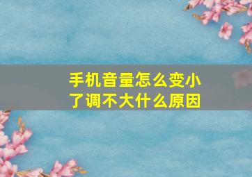 手机音量怎么变小了调不大什么原因