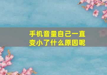 手机音量自己一直变小了什么原因呢