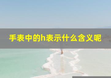 手表中的h表示什么含义呢