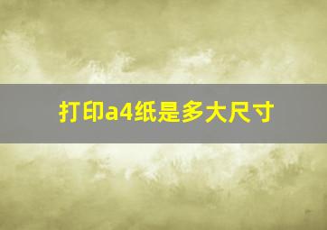 打印a4纸是多大尺寸