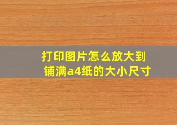 打印图片怎么放大到铺满a4纸的大小尺寸