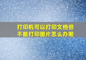 打印机可以打印文档但不能打印图片怎么办呢