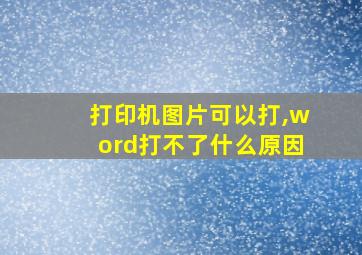 打印机图片可以打,word打不了什么原因