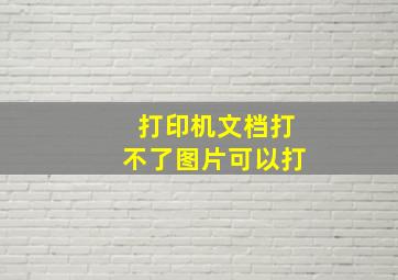 打印机文档打不了图片可以打