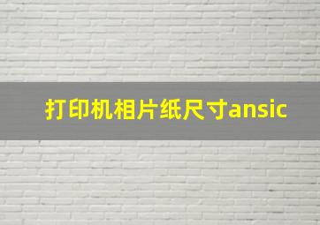 打印机相片纸尺寸ansic