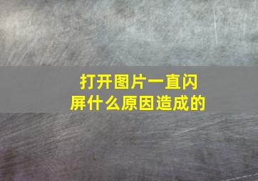 打开图片一直闪屏什么原因造成的