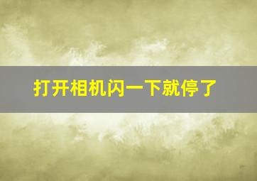 打开相机闪一下就停了