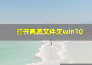 打开隐藏文件夹win10