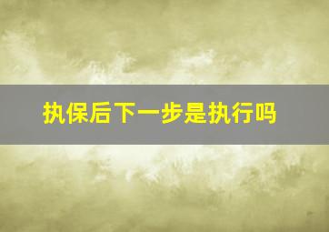 执保后下一步是执行吗