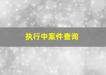 执行中案件查询