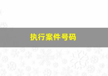 执行案件号码