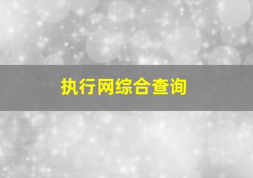 执行网综合查询